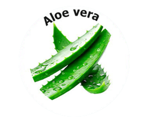 RevaNail - Lactobacillus Paracasei