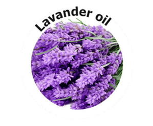 Revanail- Lavander Oil